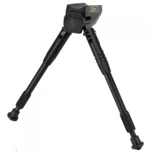 CALD-BIPOD.jpg