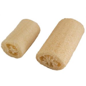 Loofah-Luffa-Luffa-Aegyptiaca-Seed-20-Seeds-111473858691-2